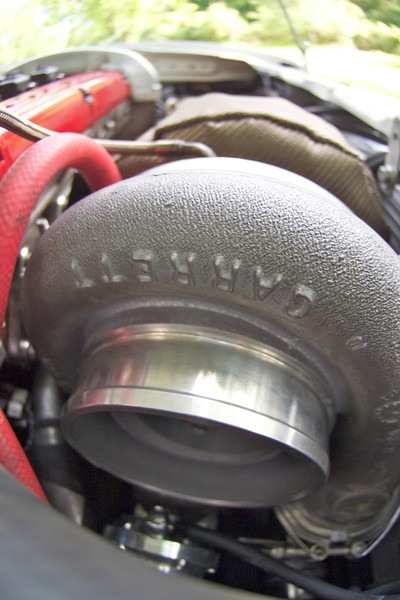 P5311592-L.jpg