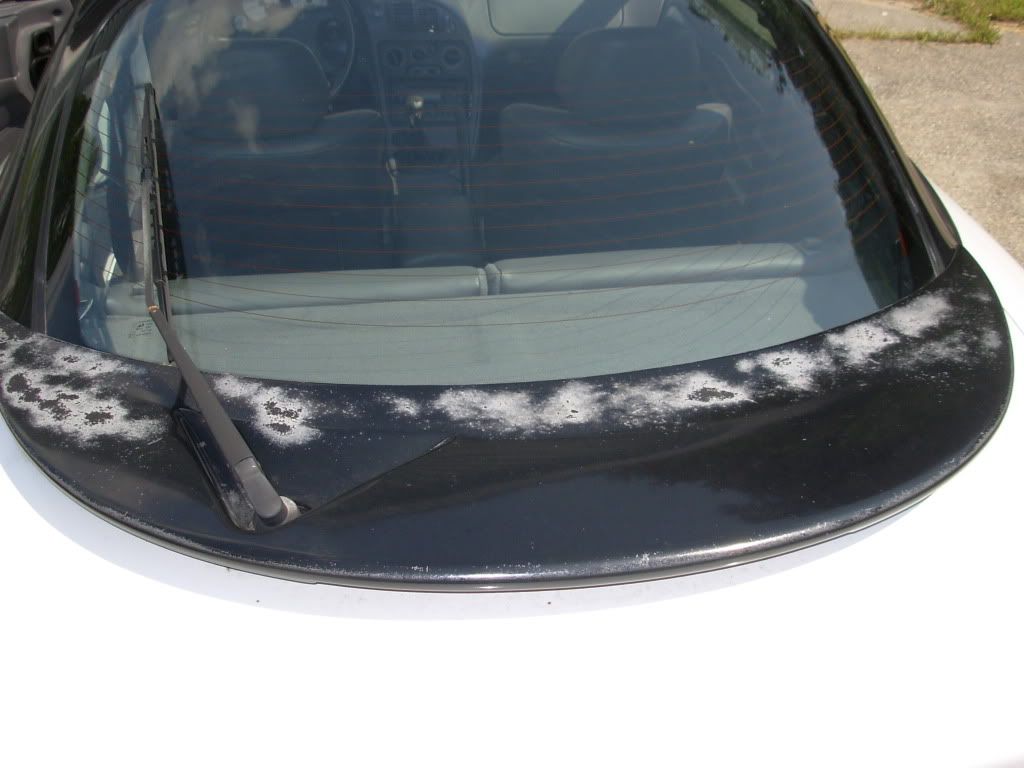 DSCN3585.jpg