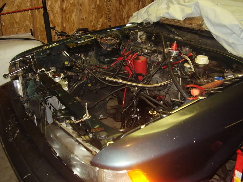 PB200165.jpg