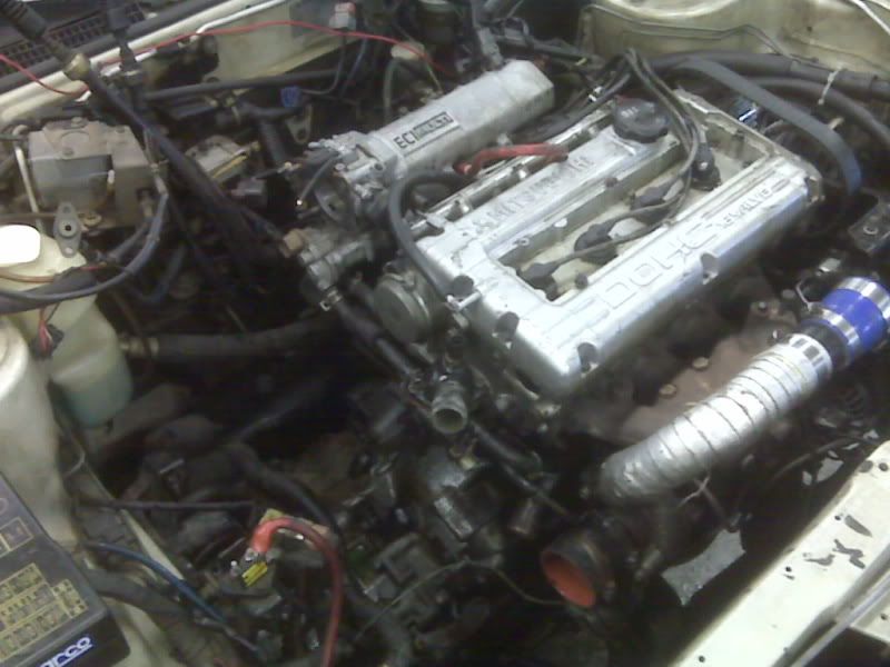 IMG01207.jpg