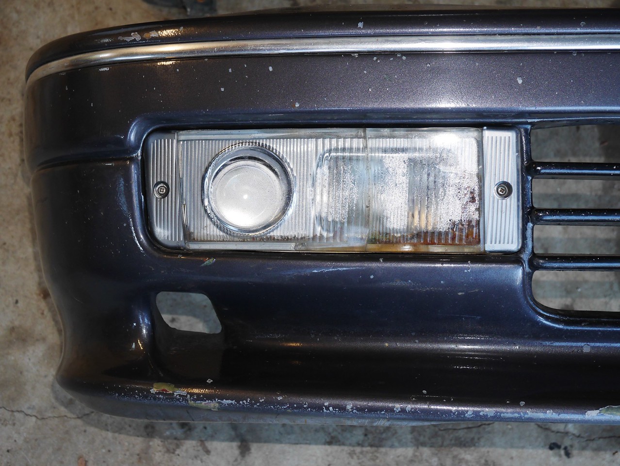 P1130243-X2.jpg