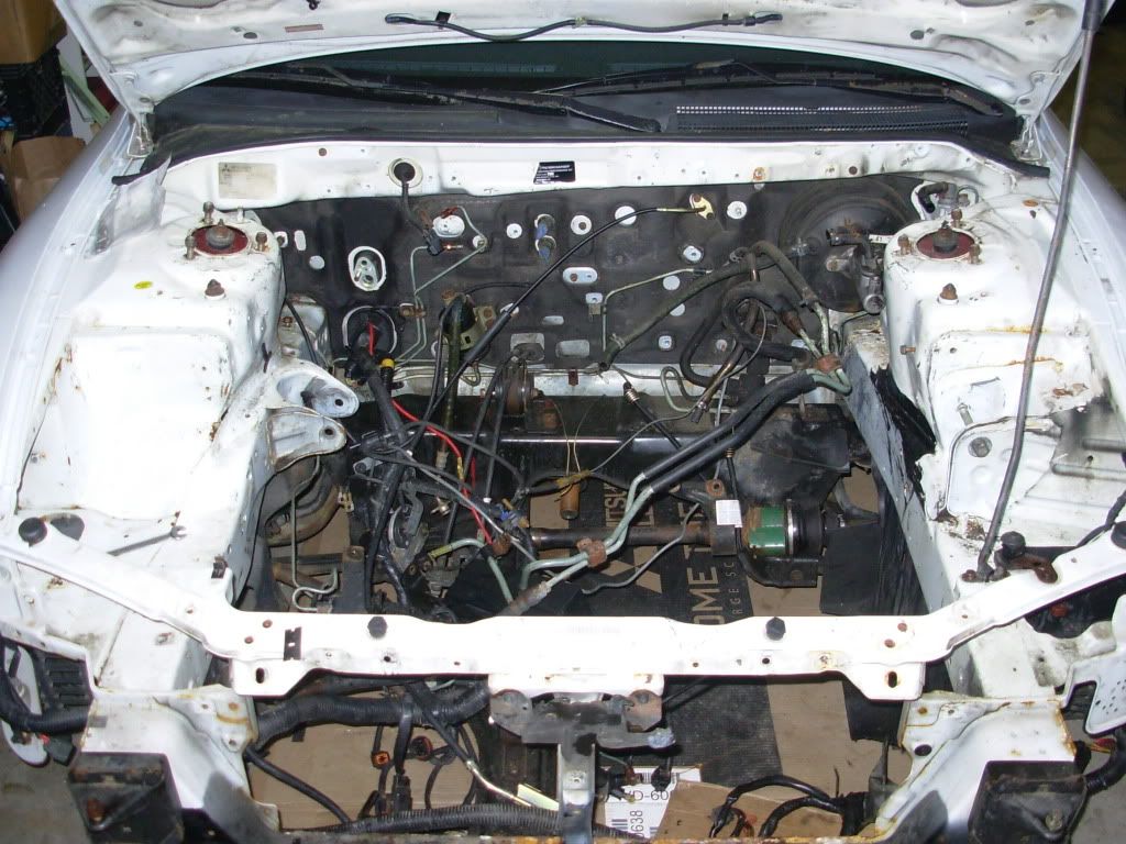 DSCN3423.jpg