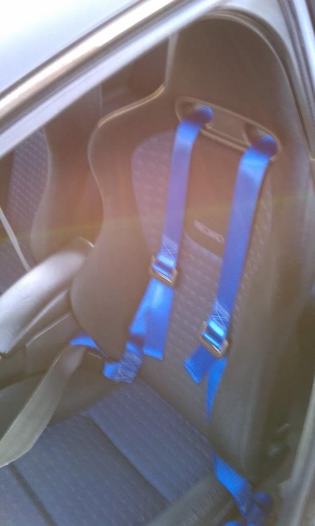IMAG0010.jpg