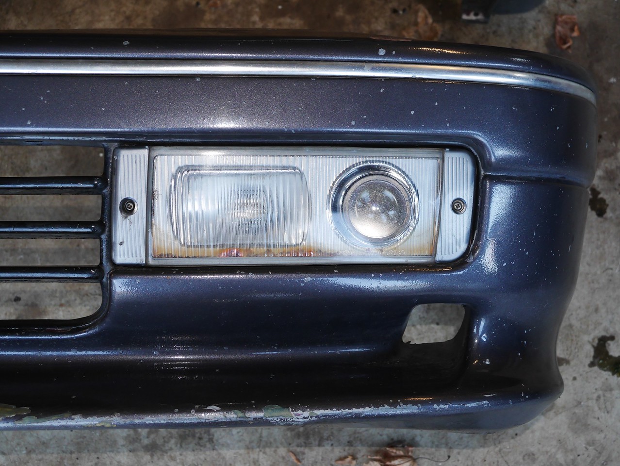 P1130242-X2.jpg