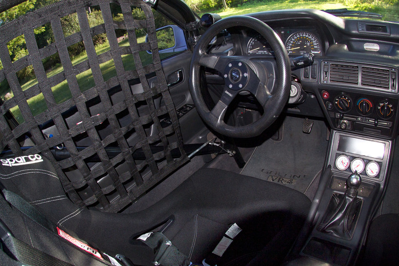 P5311675-L.jpg