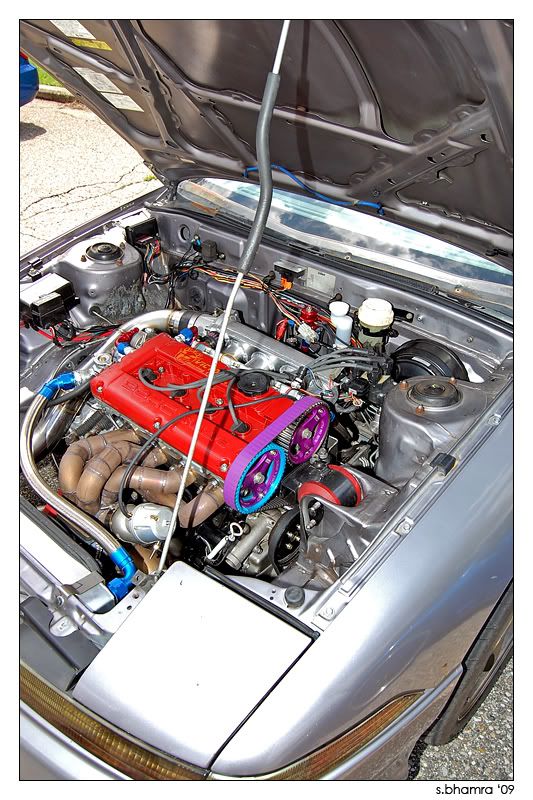 DSC_0321_edit.jpg