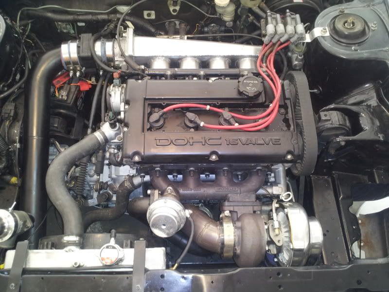 2011-08-13141234.jpg
