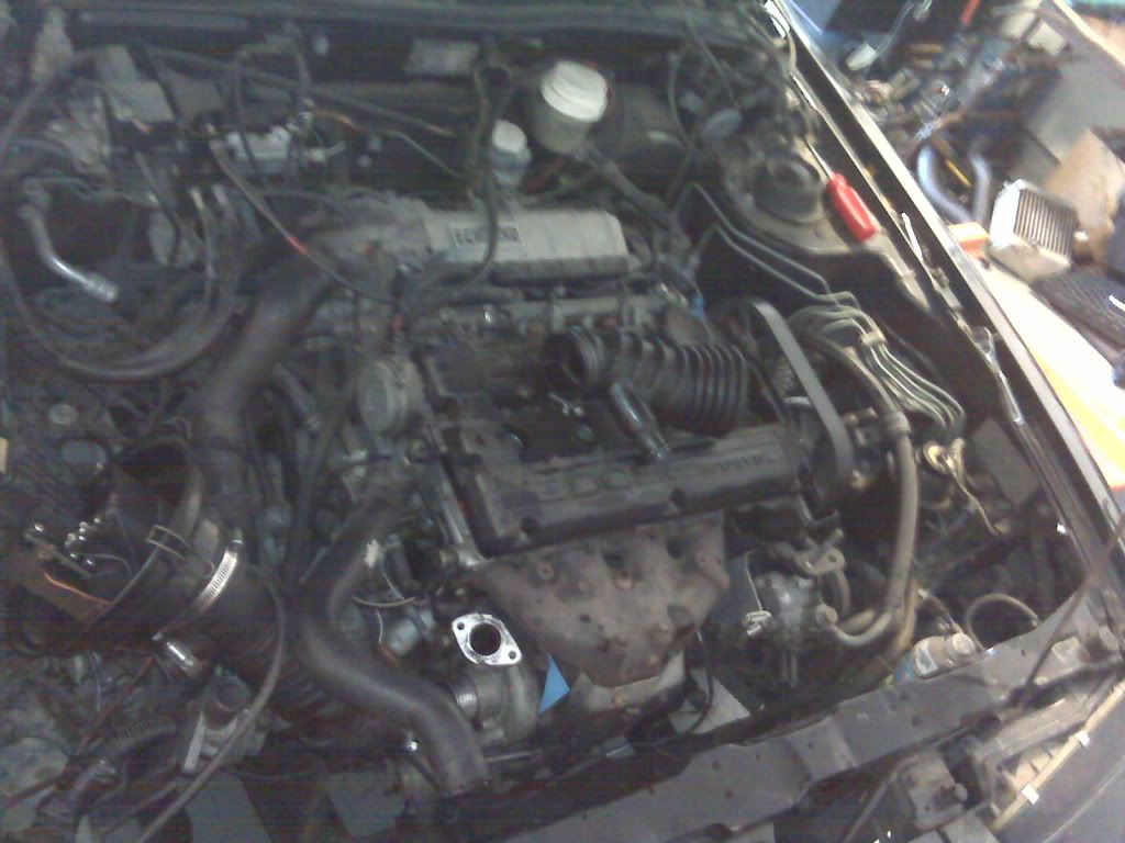 IMG00516-20100729-1542.jpg
