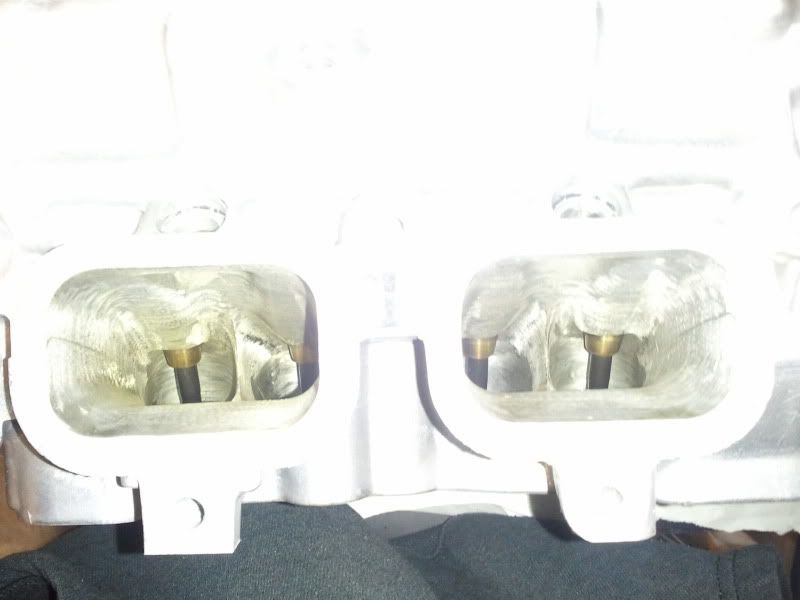 2011-01-08183549.jpg