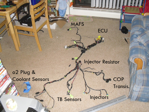 SDC11263wheredotheygo.jpg